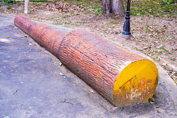 Closeup image of logs of various heights for practicing push-ups in a public exercise park, Chiang Mai, Thailand.