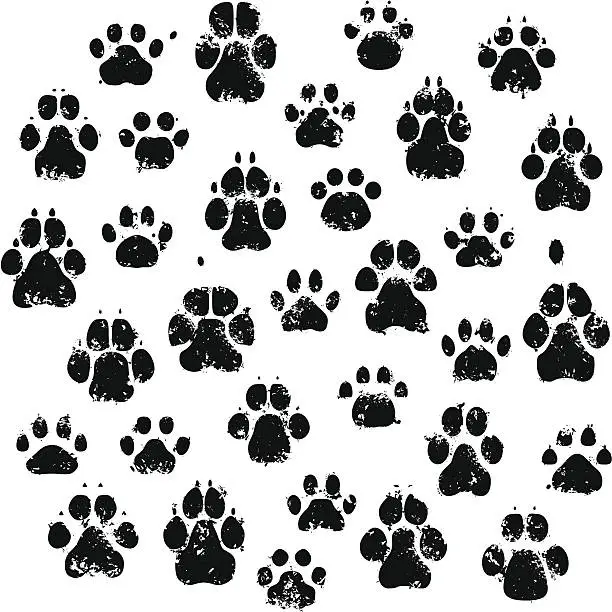 Vector illustration of Cat And Dog Paw Prints