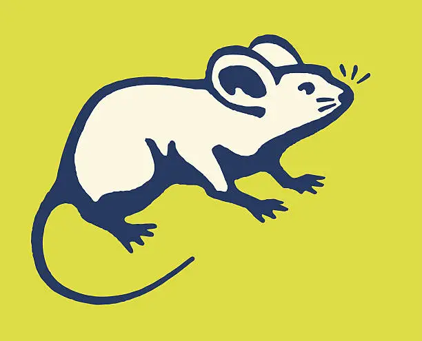 Vector illustration of Mouse