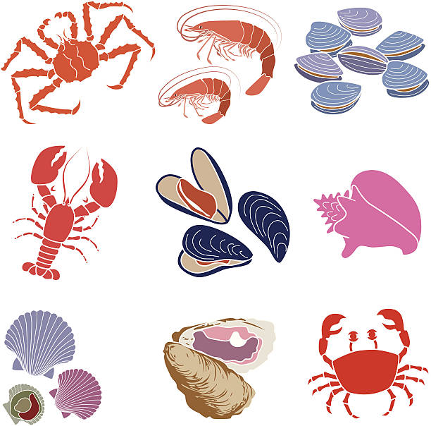 갑각류, 조개류 및 mollusks - computer icon symbol sea life prepared crab stock illustrations