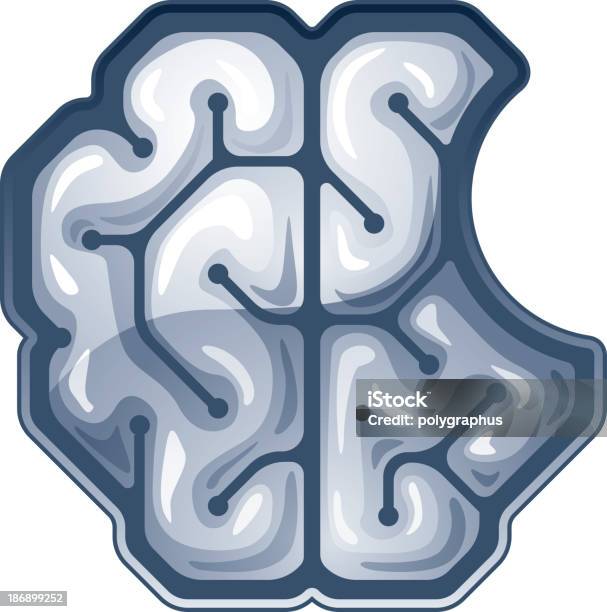 Вектор Bitten Мозга Вид Сверху — стоковая векторная графика и другие изображения на тему Мозг - Мозг, Надкушенный, Анатомия