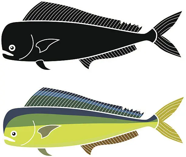 Vector illustration of mahimahi