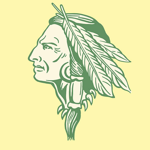 decorated native american man profile - native american north american tribal culture tribal chief headdress stock illustrations