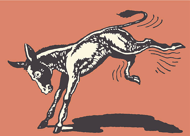 Donkey Kicking Donkey Kicking kicking illustrations stock illustrations