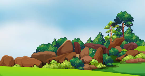 ilustraciones, imágenes clip art, dibujos animados e iconos de stock de bosque con gran rocks - grass branch wealth forest