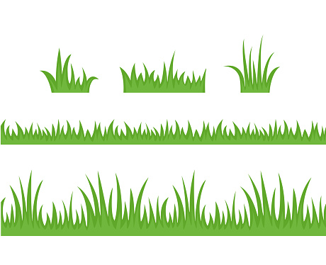 Green grass set. Seamless border and grass icons isolated on white background. Vector cartoon flat simple illustration.