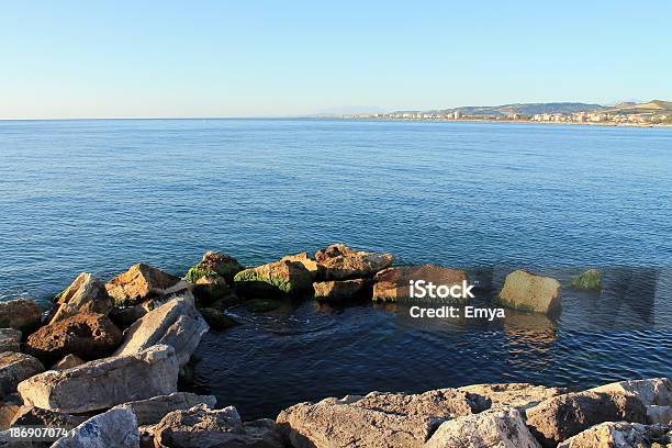 Beauty Of The Sea Stock Photo - Download Image Now - Adriatic Sea, Algae, Ascoli Piceno