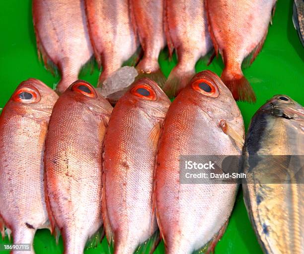 De Peixe - Fotografias de stock e mais imagens de Banca de Mercado - Banca de Mercado, Barbatana - Parte do corpo animal, Barbatana caudal