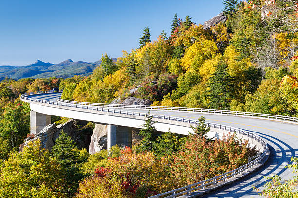 istock Blue Ridge Parkway, Linn Cove Viaduct 186907744