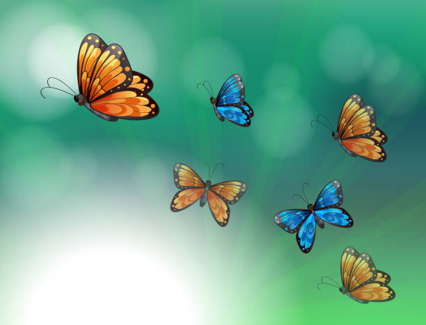 istock stationery with orange and blue butterflies 186907934