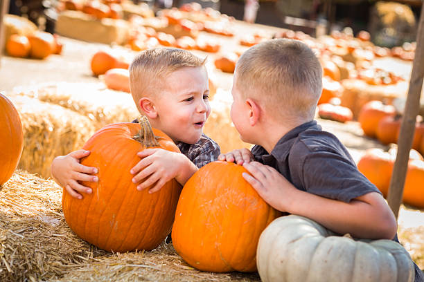 due ragazzi presso la zucca patch parlare e divertirsi - market farmers market agricultural fair child foto e immagini stock