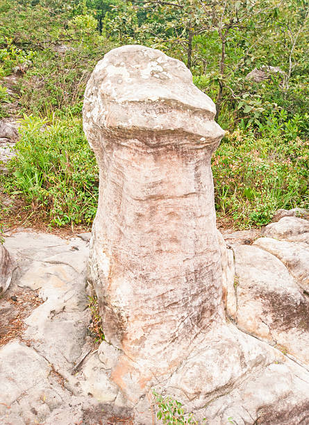 istock Stone the shape of a penis. 186909120