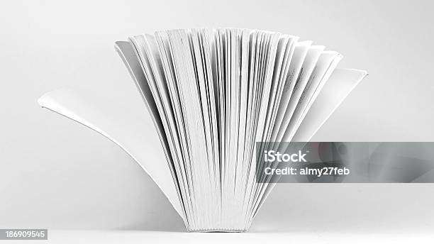 Livro Aberto Com Fundo Branco - Fotografias de stock e mais imagens de Branco - Branco, Catálogo, Cinzento