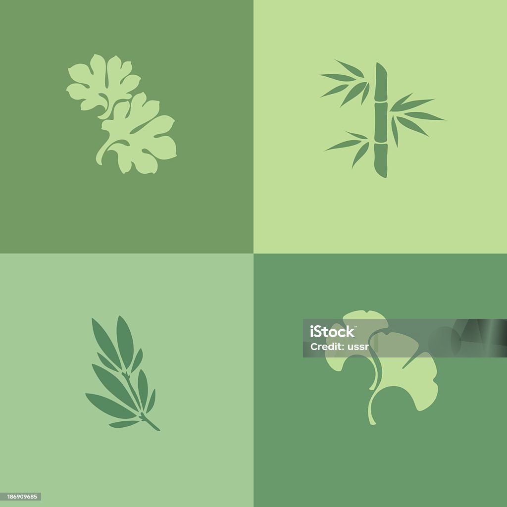 Leaf.  Set of design elements - Lizenzfrei Ginkgobaum Vektorgrafik