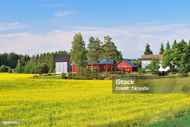 Finland Stock Photo - Download Image Now - Blue, Crop - Plant, Finland