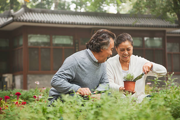 lächelnd altes paar im garten - chinese ethnicity stock-fotos und bilder