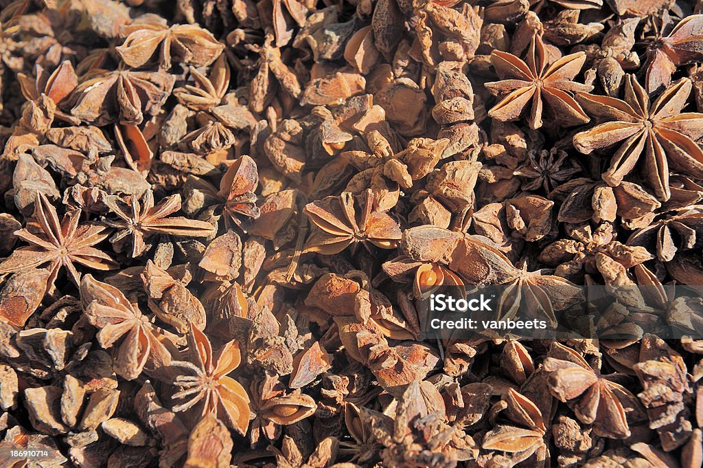 Getrocknete Sternanis seed - Lizenzfrei Anis Stock-Foto