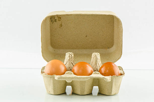 Egg in its box stock photo