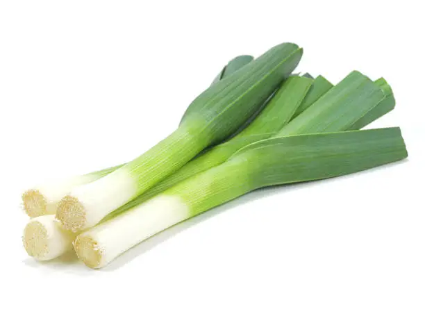 Leeks isolated against a white background.