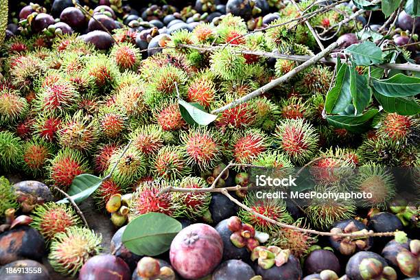 Rambután Y Otros Frutas Foto de stock y más banco de imágenes de Animal doméstico - Animal doméstico, Clima tropical, Coco - Fruta tropical