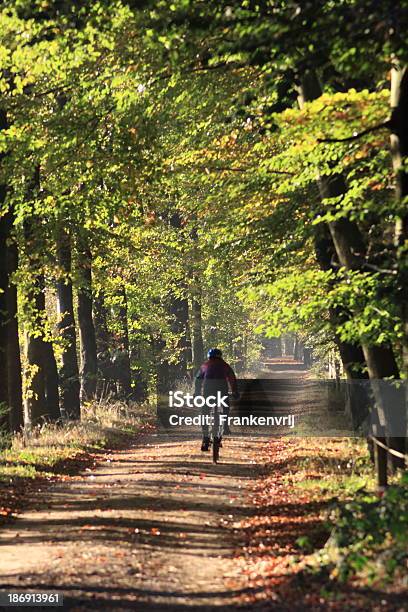 Going For A Ride Stock Photo - Download Image Now - Adventure, Autumn, Beech Tree