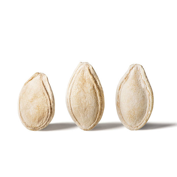 Pumpkin seeds stock photo