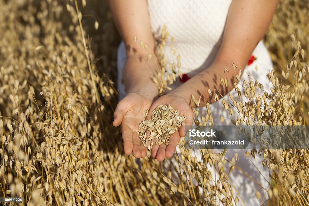 Punhado de aveia como plano de agrícola. - Royalty-free Agricultura Foto de stock