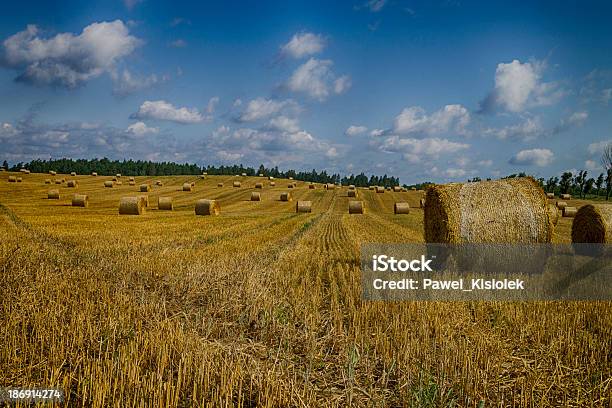 Golden Hay Bales En Polaco Campo Foto de stock y más banco de imágenes de Agricultura - Agricultura, Aire libre, Alimento