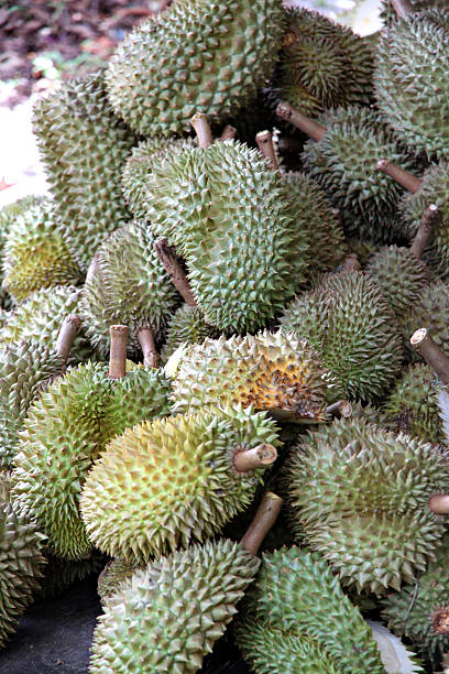 istock The dump Durian from Thailand. 186914682