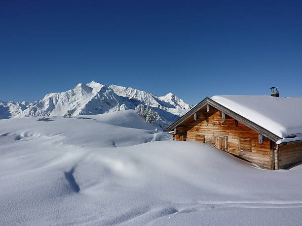 лыжный хижина в альпах - nobody tranquil scene nature park стоковые фото и изображения