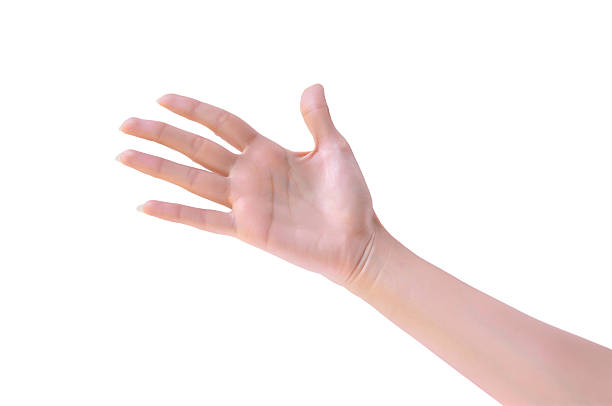 istock Beautiful woman hands 186915641