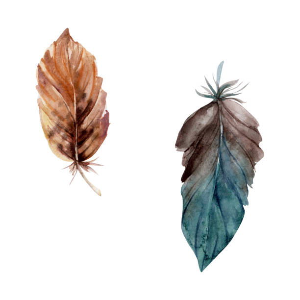 istock Hand drawn watercolor bird feather plume quill boho tribal ethnic indian brown. Single object isolated on white background. Design for charm, amulet, dreamcatcher, scrapbooking, handmade craft, tattoo 1869156490