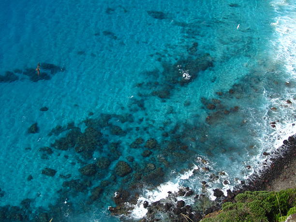 istock Coast of Lagoon 186916202