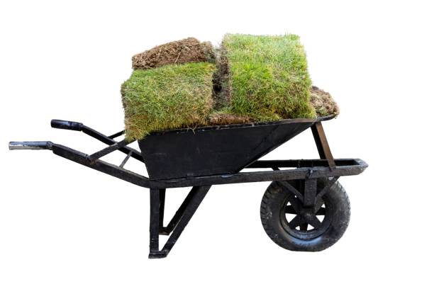 istock Wheelbarrow loaded with grass pieces for lawn on white isolated background 1869166120