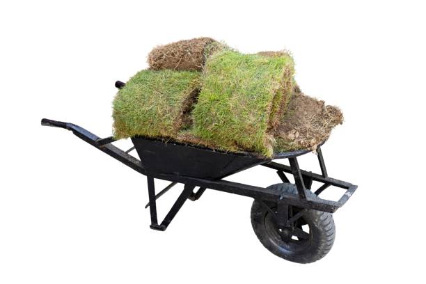 istock Hand pushcart full with grass for lawn on white isolated background 1869168731