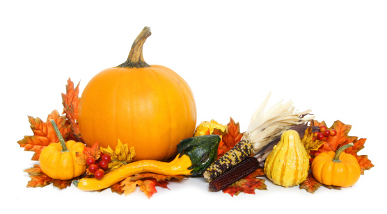Autumn arrangement of pumpkins and gourds with red leaves over white