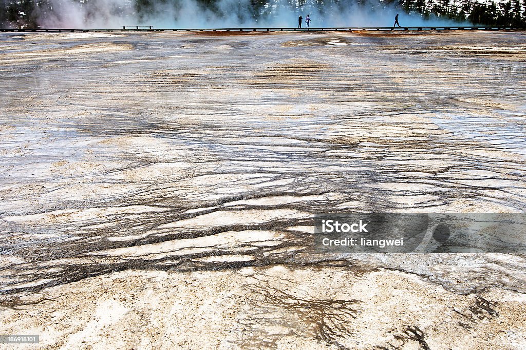 hot spring and Lava close inspec hot spring in Yellowstone National Park Wyoming USA 2013 Bacterium Stock Photo