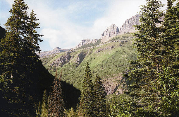 istock Glacier National Park - Northwest Montana 186918610