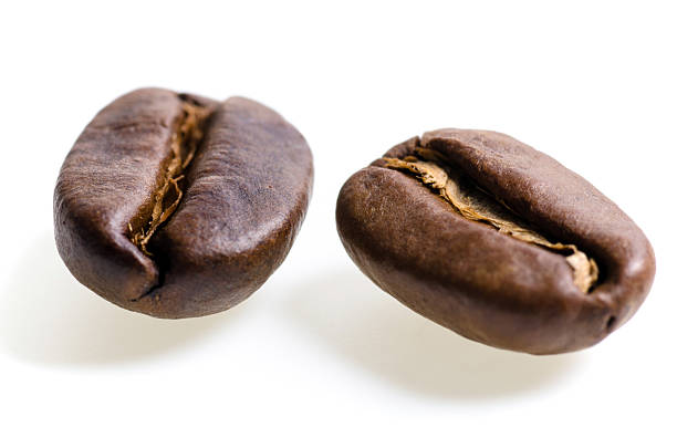 two espresso beans before white background stock photo