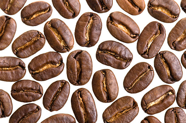 many espresso beans before white background stock photo