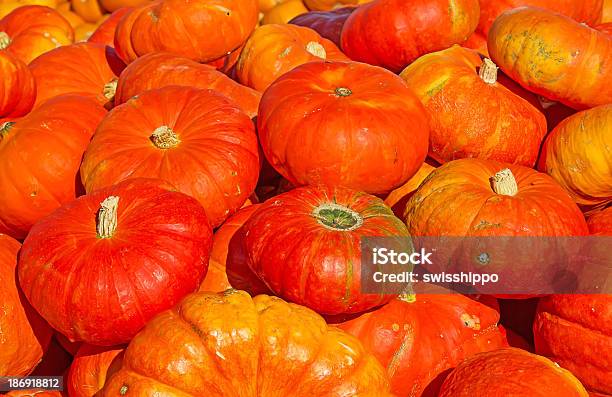 Красочные Pumpkins — стоковые фотографии и другие картинки Без людей - Без людей, Бутылочная тыква, Вариация