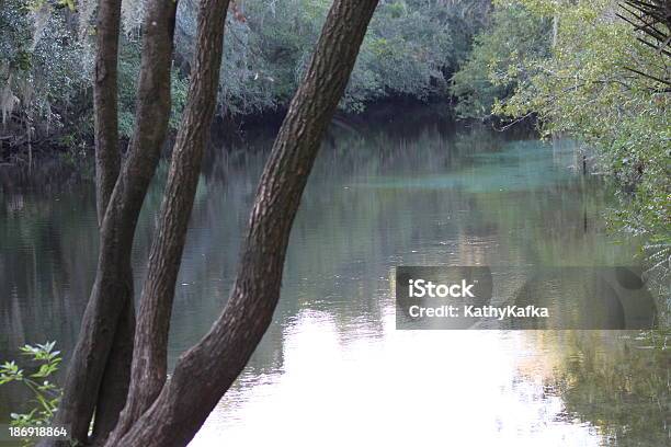 Lithia Springs In Florida State Park - Fotografie stock e altre immagini di Sorgente - Sorgente, Florida - Stati Uniti, Acqua