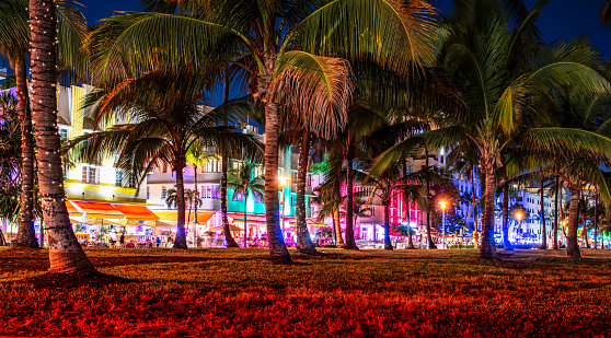 Palm trees decorated with Christmas lights in front of famous Ocean Drive street with neon lit buildings at night. South Beach, Miami, Florida.