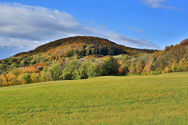 Landscape in autumn Landscape in autumn, meadow with colorful forest and blue sky vienna woods stock pictures, royalty-free photos & images