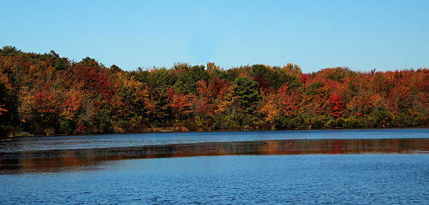 istock Autumn leaves across a pond 186920645