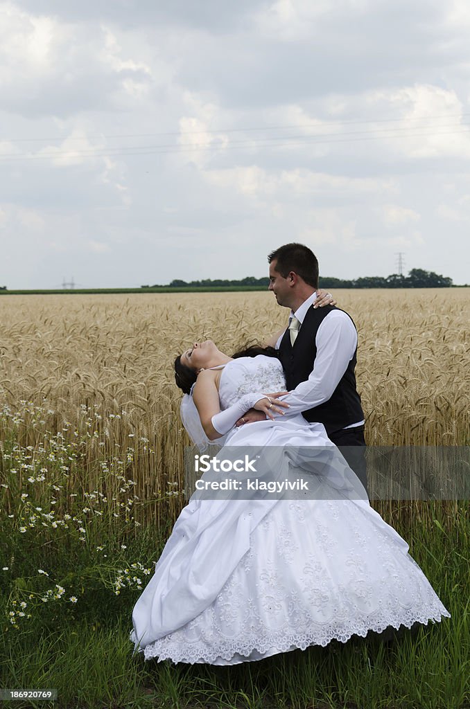 wedding couple in a wheat land Adult Stock Photo