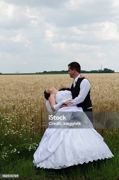 Wedding Couple In A Wheat Land Stock Photo - Download Image Now - Adult, Adults Only, Beginnings