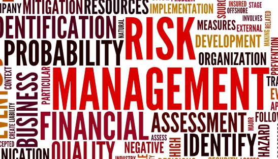 Risk management concept in tag cloud isolated on white