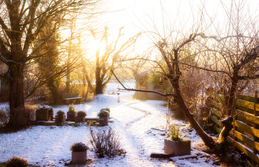 Beautiful early morning garden in winter in the Netherlands