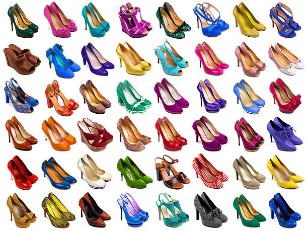 Female shoes collection on white background